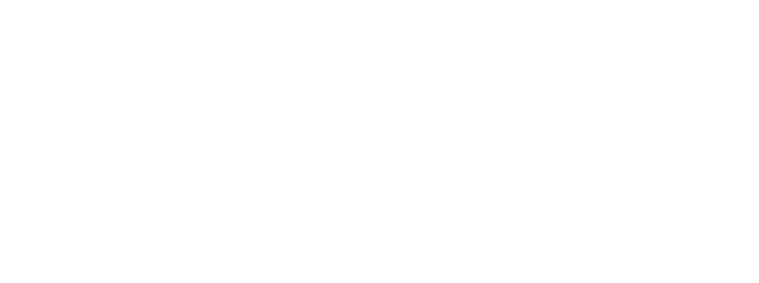 Fluxys